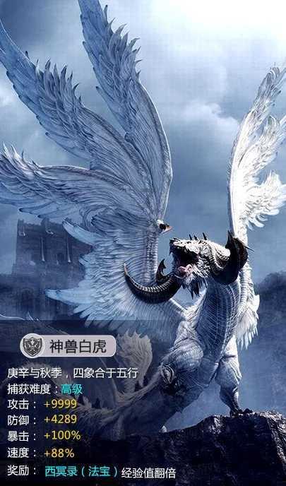 【两会关注】文安梅代表:传承民族文化 为打造世界级旅游目的地贡献力量
